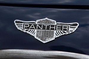 Panther_logo