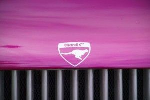 Diardi