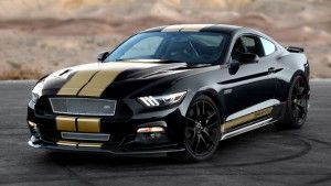 Shelby
