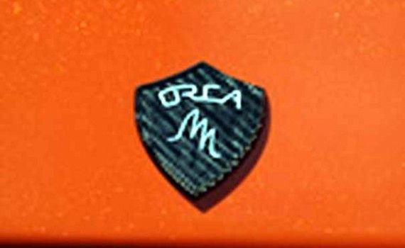 Orca