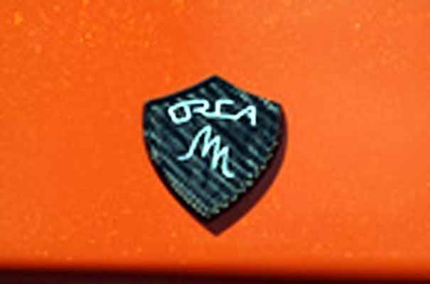 Orca
