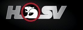 Hsv