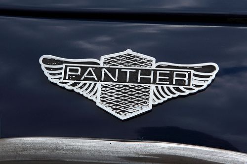 Panther_logo