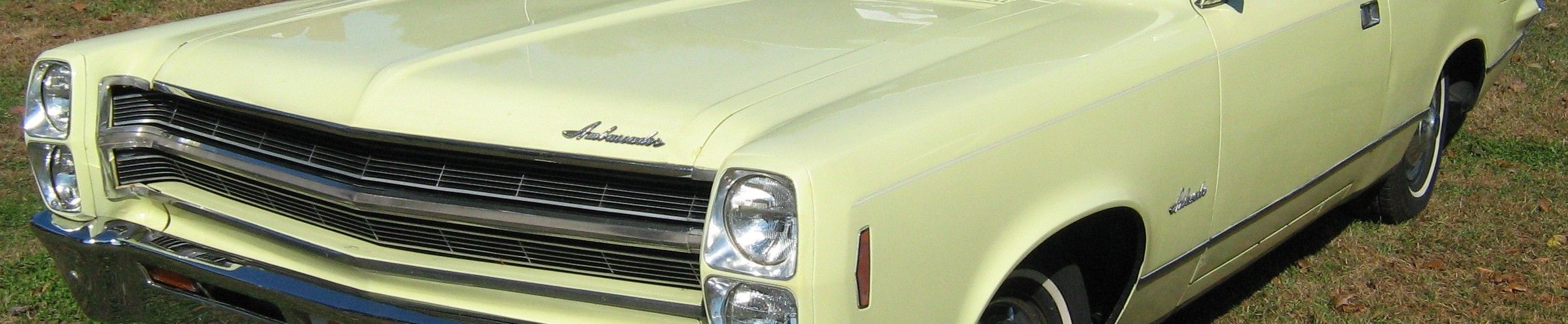 Ambassador